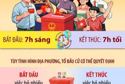 QUY ĐỊNH VỀ THỜI GIAN BỎ PHIẾU TRONG NGÀY BẦU CỬ 15/3/2026