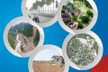Sở Giáo dục và Đào tạo Lâm Đồng chủ động chỉ đạo các cơ sở giáo dục ứng phó với thiên tai, đảm bảo an toàn cho năm học mới